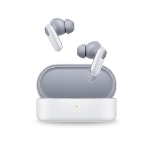 Premium Quality Buds 2R – Imported (Misty Grey)