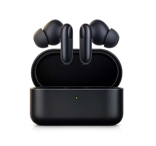 Premium Quality Buds 2R – Imported (Deep Grey)